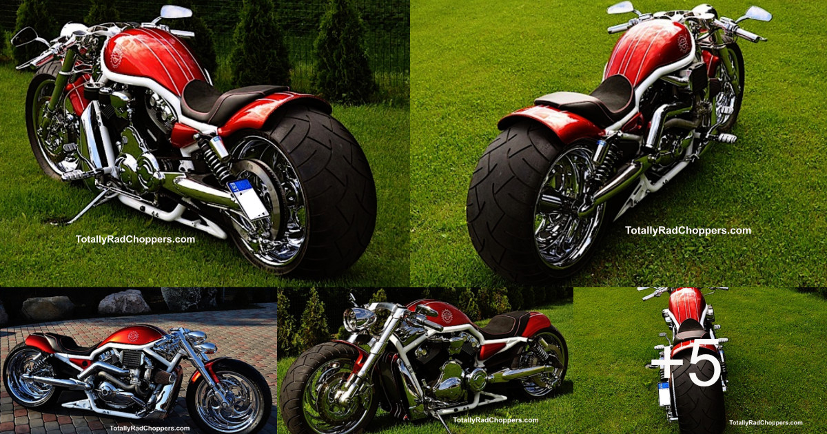 2006-Harley-Davidson-Hunchback-1F
