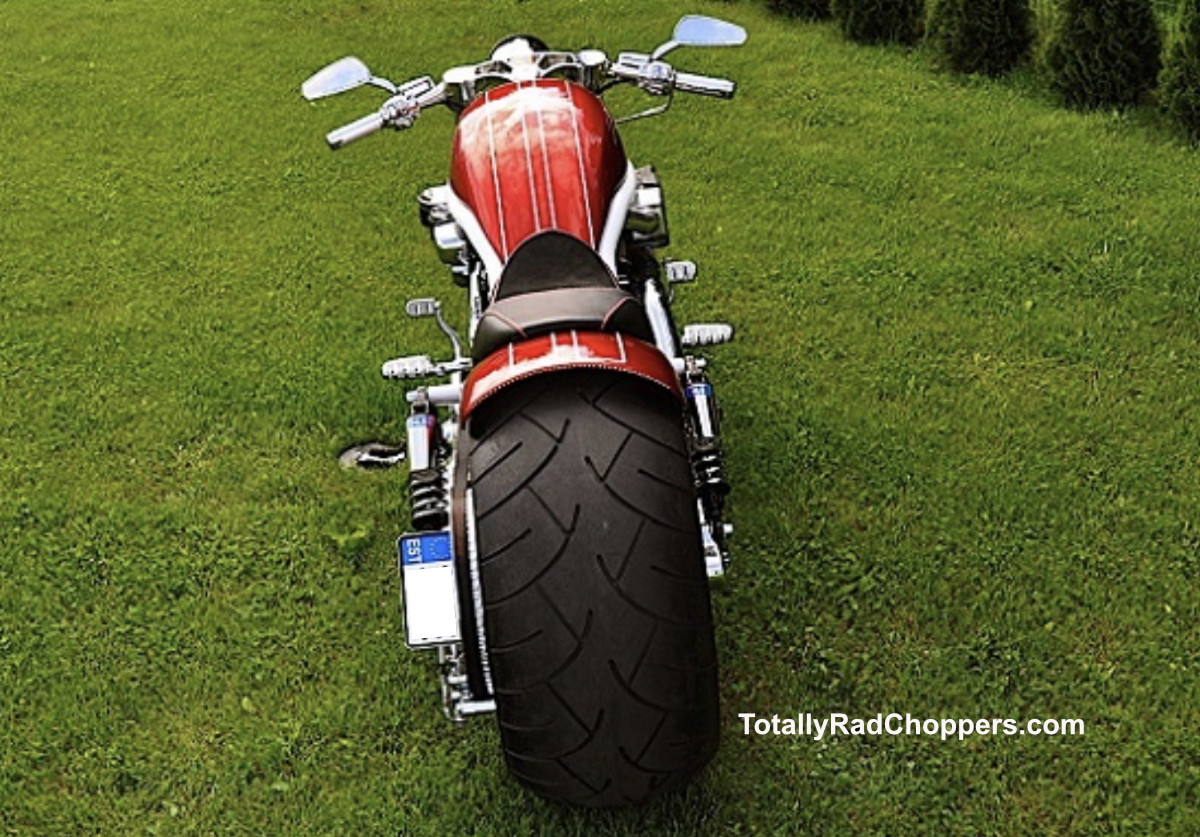 2006-Harley-Davidson-Hunchback-5