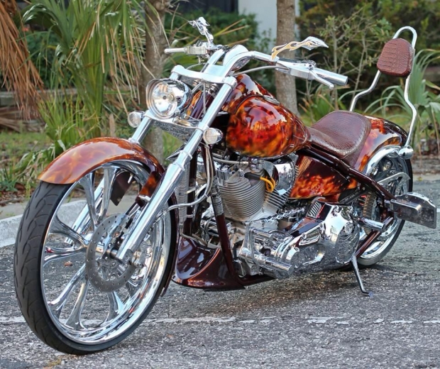 Anthony's Awesome Chopper Motorcycle