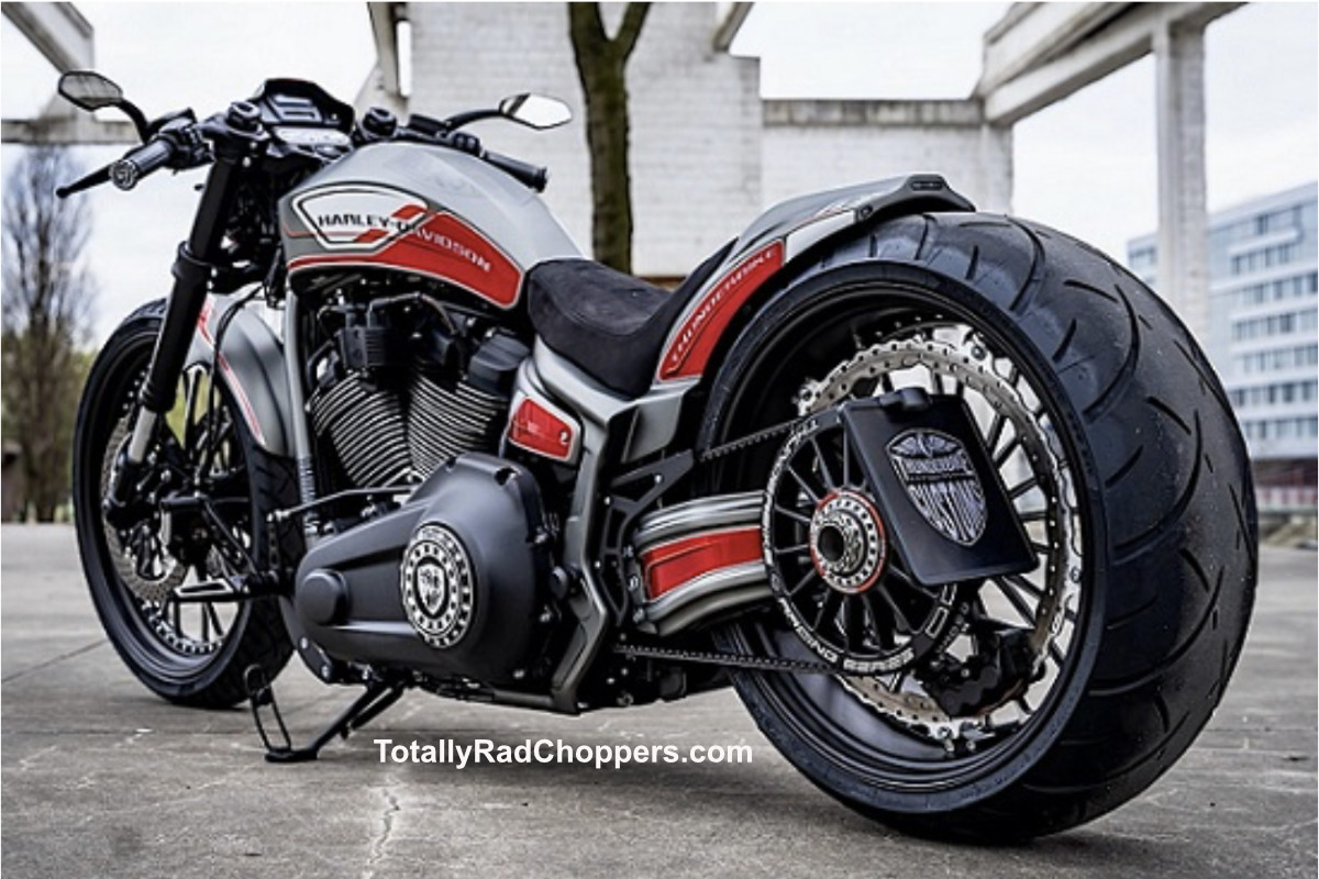 Harley-Davidson-GT3-3