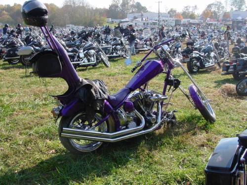 Purple Chopper